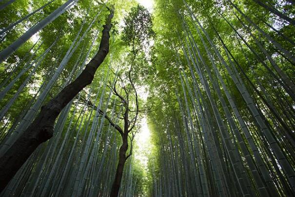 原画场景怎么练习?